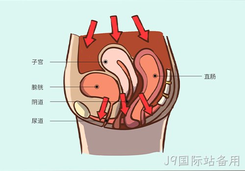 助力女性盆底功能健康发展，J9国际站备用推出高频评估电灼仪